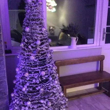 Stylish & Contemporary 5 * Fully Renovated Luxurious *